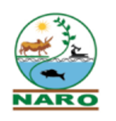 NARO