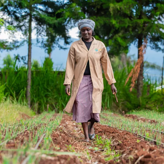 Mercy Gatwiri walks through irrigated crop beds in Kenya, working at the nexus of regenerative agriculture and renewable energy.