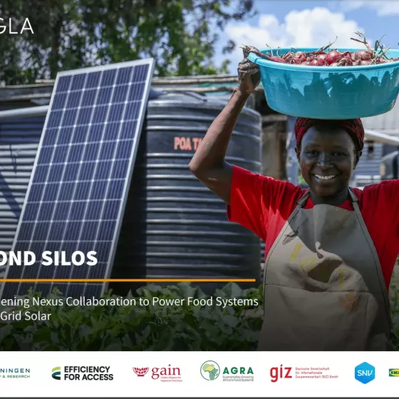 Beyond silos paper cover