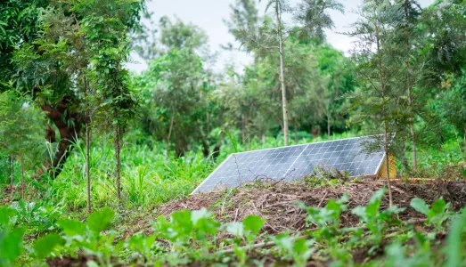 A solar panel is nestled within a lush, diverse landscape, powering sustainable agricultural operations in the field.
