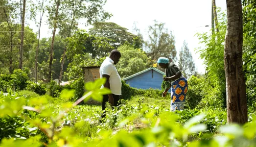 Yuanita Hongo and Kevin Yongo from SNV walk through as she explains the various vegetables she is growing in her farm.