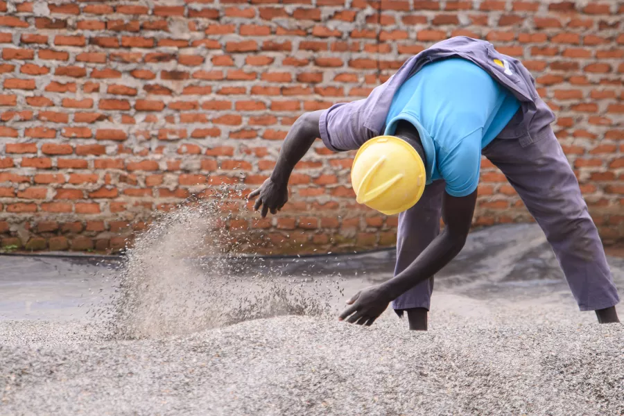 A worker turns sunflower and maize grain at Awello Millers and Packers in Oyam District, Uganda.
